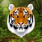 Top 27 Entertainment Apps Like Growl - Tiger Sounds - Best Alternatives