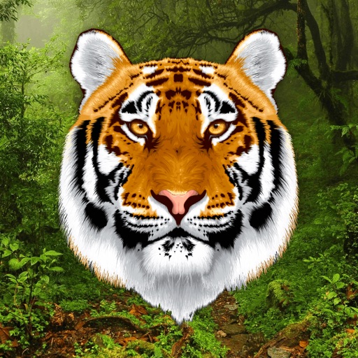 Growl - Tiger Sounds iOS App