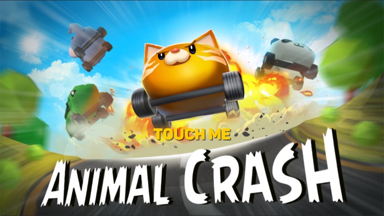 Animal Crash