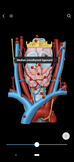 MedImaging-Radiology Made Easy(圖2)-速報App