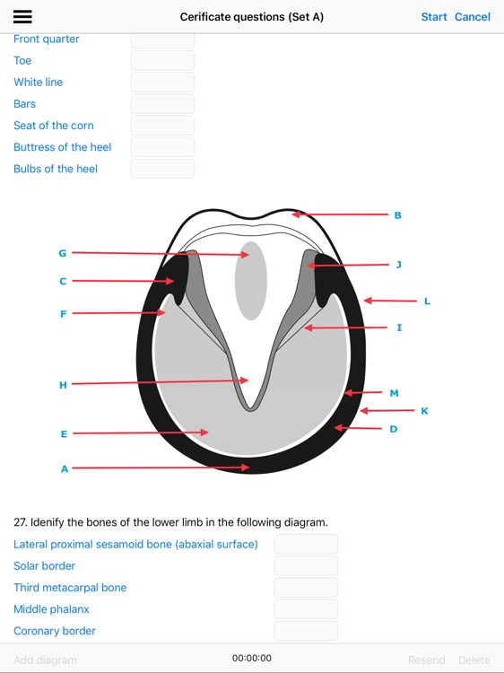 Horse And Farrier screenshot-4