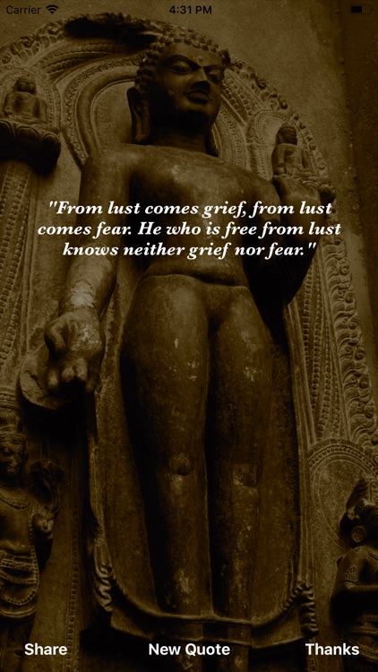 Buddha Wisdom