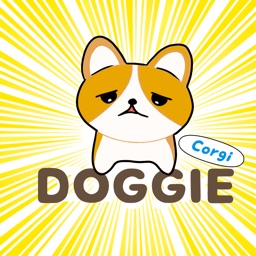 Corgi Doggie