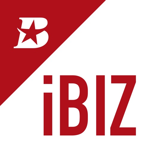 ibiz banking