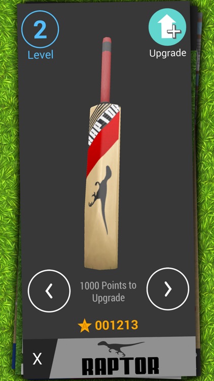 Cricket Pro 19 screenshot-4