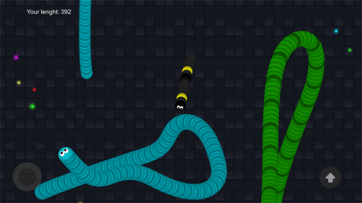 SnakeSnake.io Screenshot 1