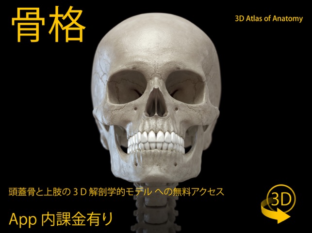 骨格 解剖学3d アトラス をapp Storeで