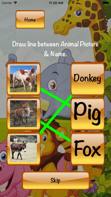 Match Animal Picture Name