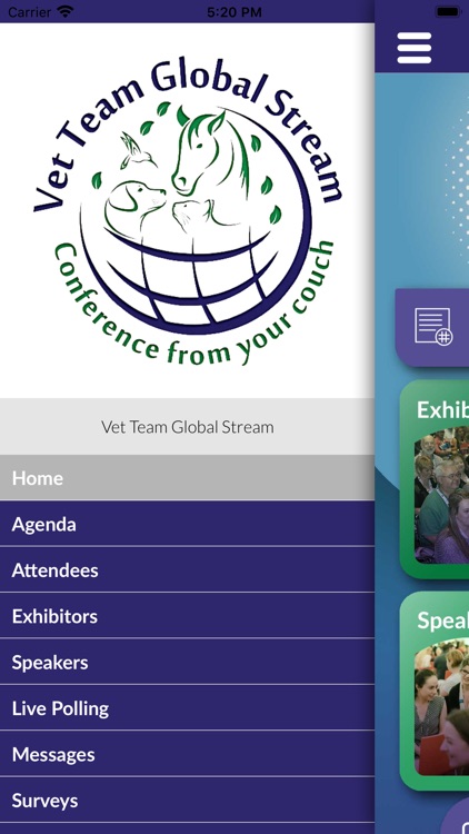 Vet Team Global Stream 2020