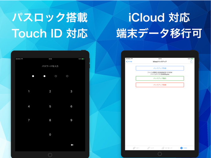 リッチコピー＋