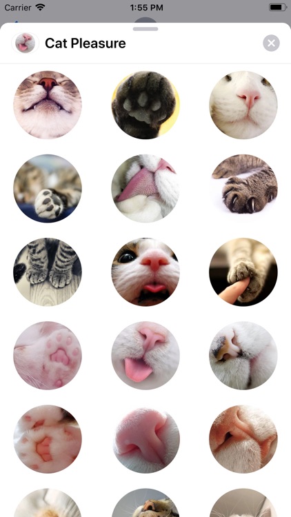 Cat Pleasure Sticker Pack