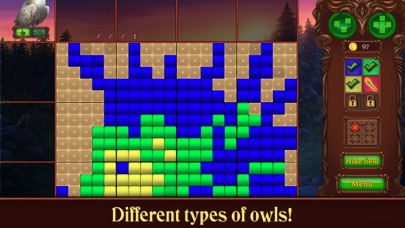 Riddles of the Owls' Kingdom screenshot 4