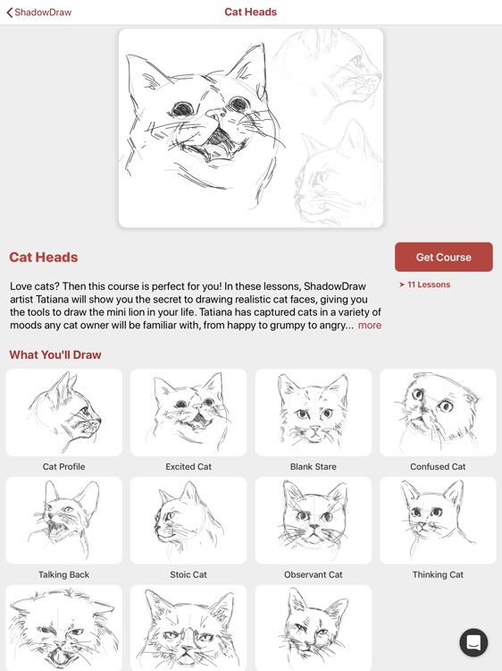ShadowDraw - Learn How to Draw screenshot-4