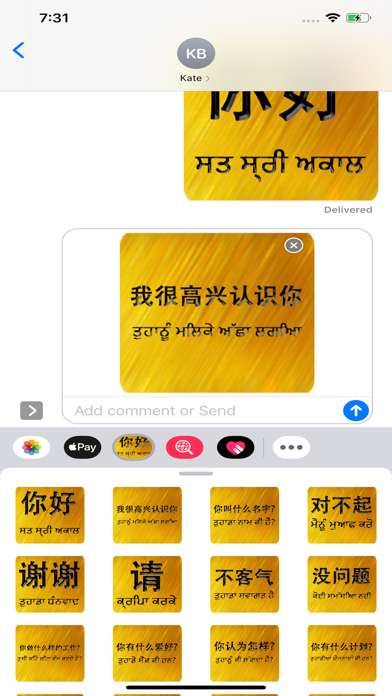 Chinese Punjabi screenshot 3