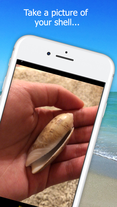 How to cancel & delete Shell Museum: Identify Shells from iphone & ipad 2