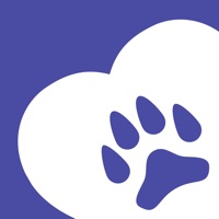 Furry pour PC