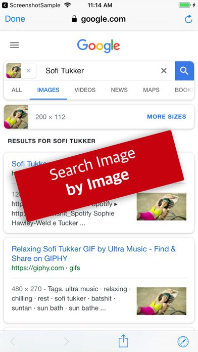 画像で画像を検索 - リバース検索 screenshot1