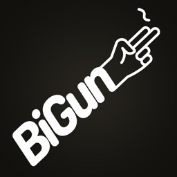 BiGun