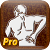Chronic Stimulation, LLC - Chronic Pain Tracker アートワーク