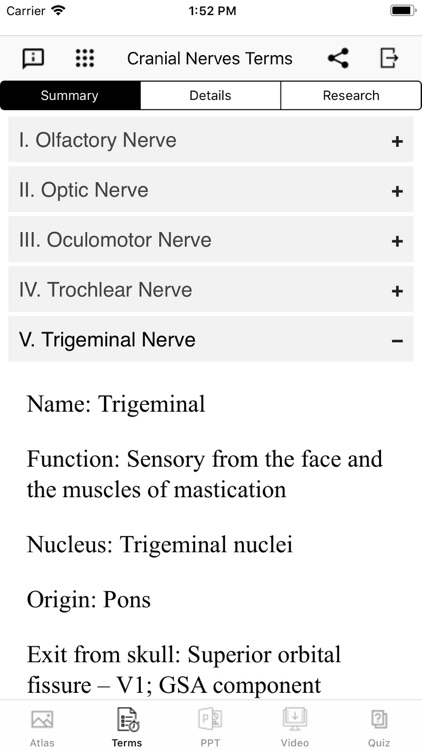 Cranial Nerves Plus
