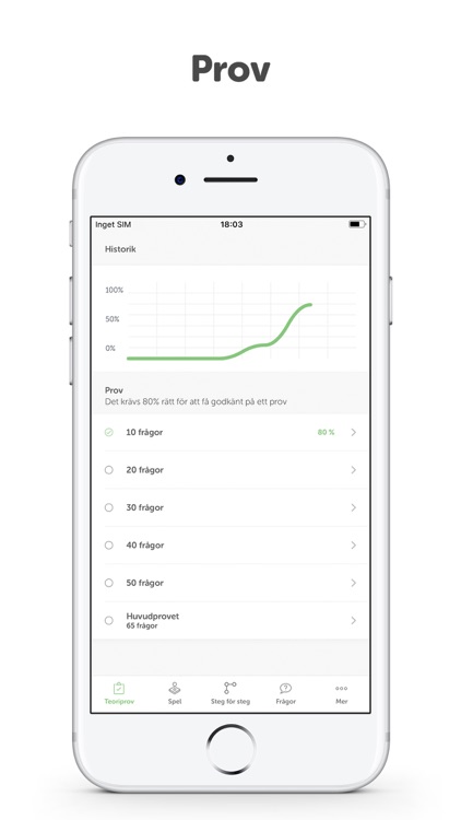 Ta Körkort (Prova på) screenshot-6