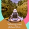 Our Whanganui National Park travel guide gives information on travel destinations, food, festivals, things to do & travel tips on where to visit and where to stay