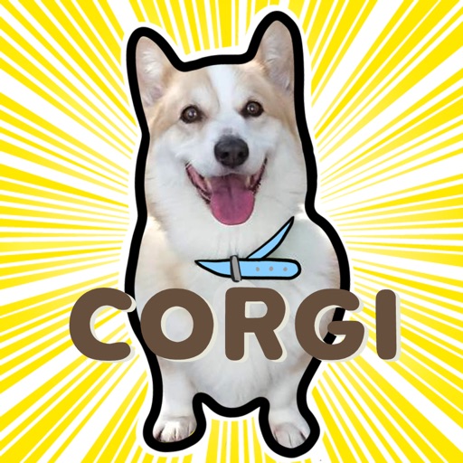 Corgi the Lowrider icon