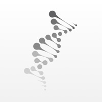 DNA Brazilian Church pour PC
