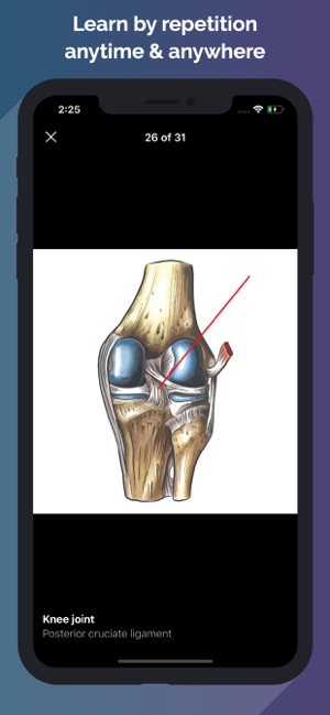 Easy Anatomy - Atlas & Quizzes(圖8)-速報App