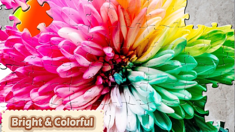 Jigsaw Puzzle Pieces screenshot-3