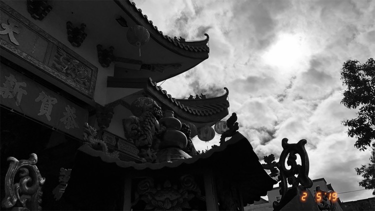 Grain Cam - Premium screenshot-4