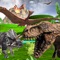 I loved playing with my toy dinosaurs as a small child, so I worked with my children to make a simple, easy to play with toy dino app