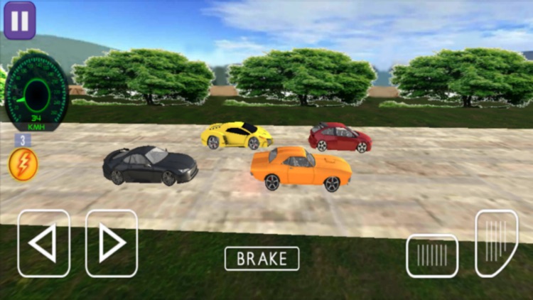 Real Car Racing Game Simulator screenshot-8