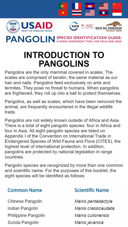 Pangolin Species ID Guide