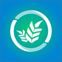 Act for Future pour PC