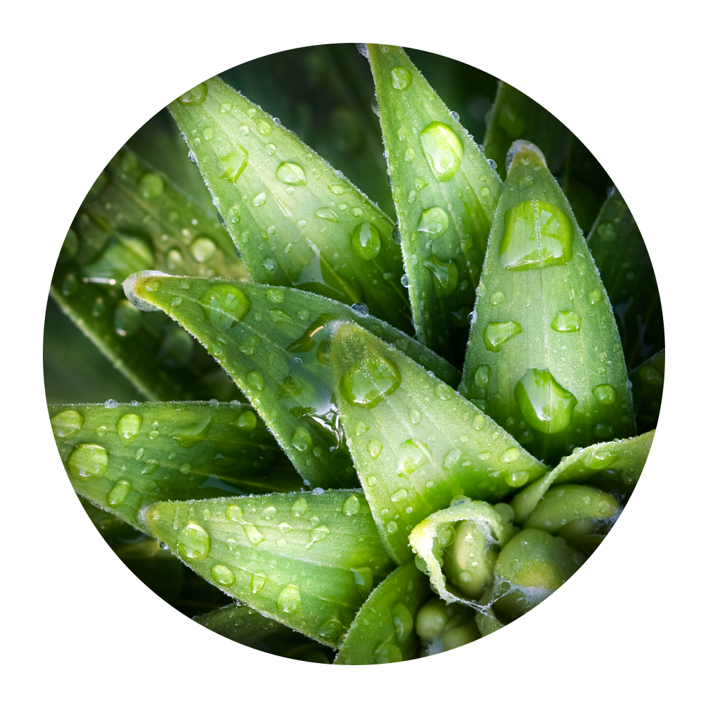 Get Wallpaper of the Day for iOS, iPhone, iPad Aso Report