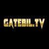 Gatebil