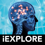 The Brain iExplore
