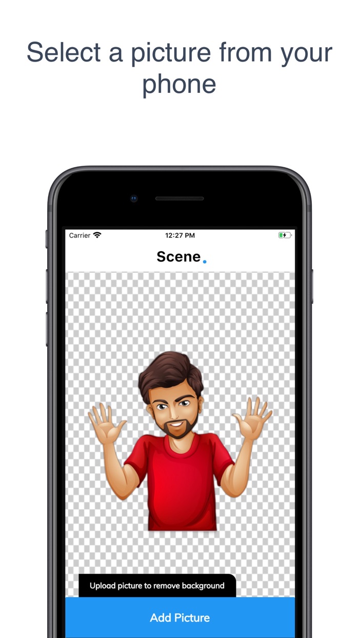 Scene Background Removal