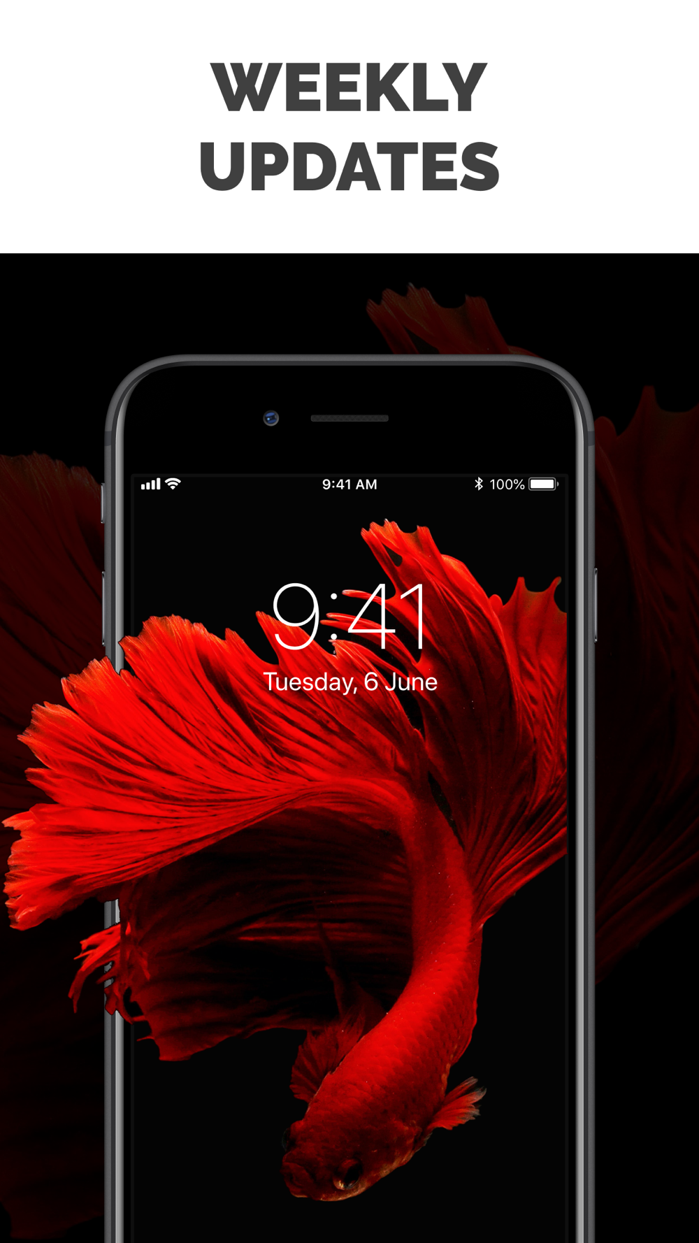 Live Wallpaper 4k, Watch Faces Free Download App for iPhone 