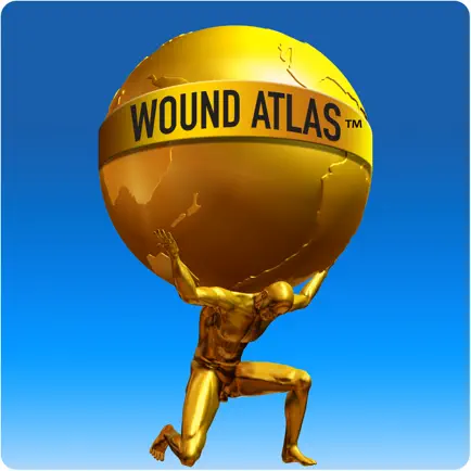 The Wound Atlas Pro Читы