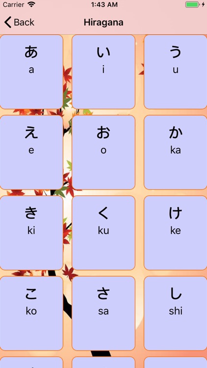 JAPANESE-BASIC FOR LEARING