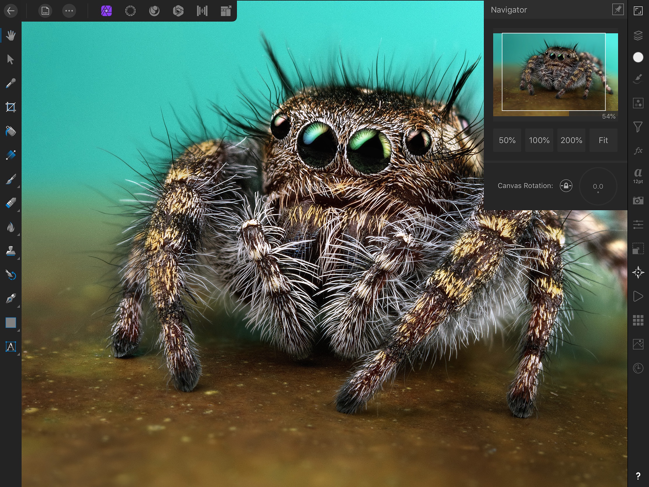 Screenshot do app Affinity Photo