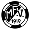 FV 1919 Mosbach e.V.