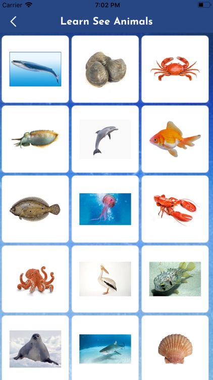 Kids - Knowing Animals screenshot-5