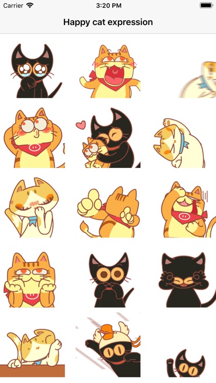 Cute happy cat expression