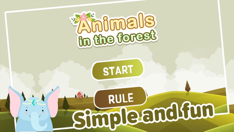 Animals in the forest!