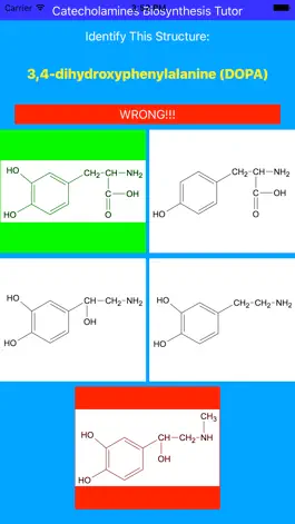 Game screenshot Catecholamines Synthesis Tutor apk