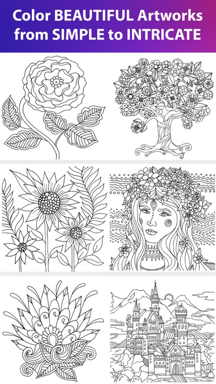 Color Matters Adult Coloring screenshot-3