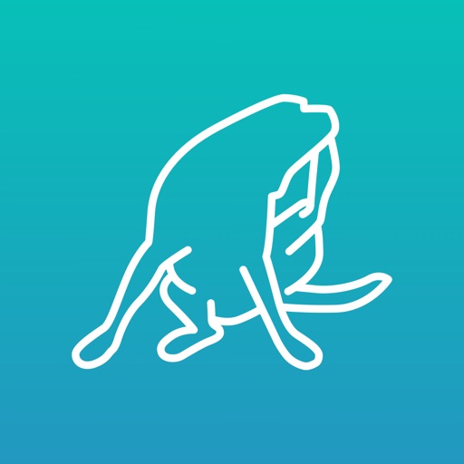 Itch Tracker icon
